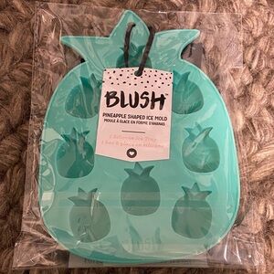 Blush Teal Pineapple Ice Tray